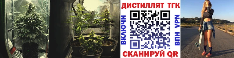 Дистиллят ТГК гашишное масло Могоча