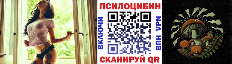 Псилоцибиновые грибы GOLDEN TEACHER  Купить где  Могоча 